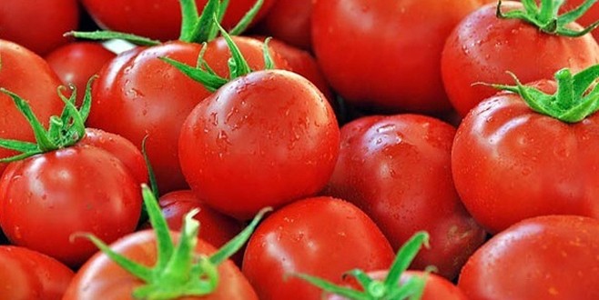 Domates 80 kuruşa kadar geriledi