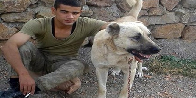 Hatay’a şehit ateşi düştü