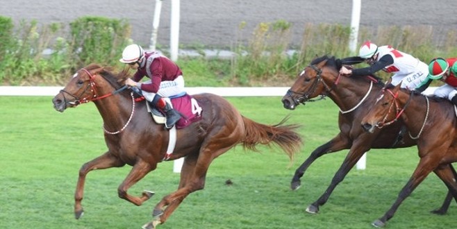 Gazi Koşusunu Piano Sonata kazandı