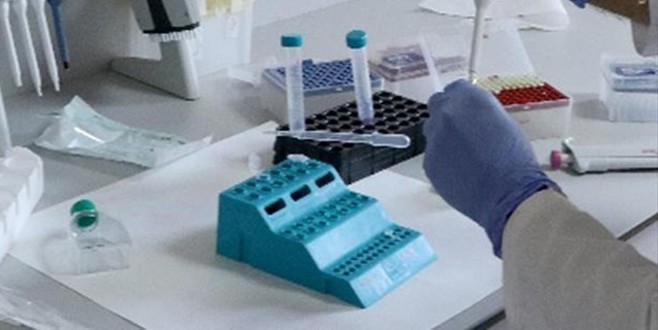 Kanser tedavisinde yeni umut