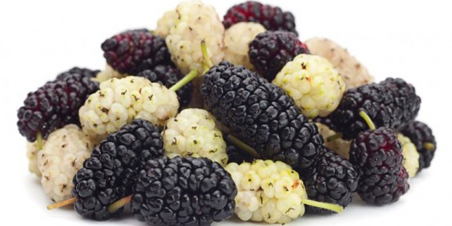 Sağlık iksiri: Dut