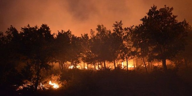 İzmir Bayındır’da orman yangını çıktı!