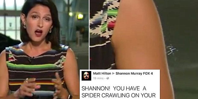 Kolundaki örümcekle haber sundu!