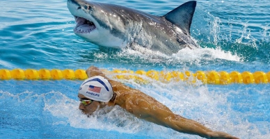 Michael Phelps köpekbalığına geçildi!