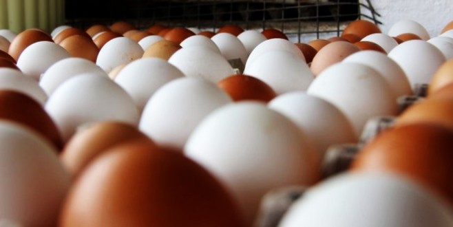 AB yumurta skandalı için toplanıyor