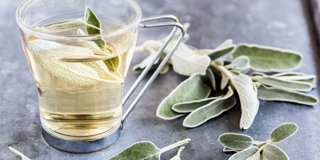 Adaçayı’nın sağlığa faydaları neler