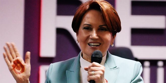 Akşener’in partisine Türkeş ve bozkurt yasağı