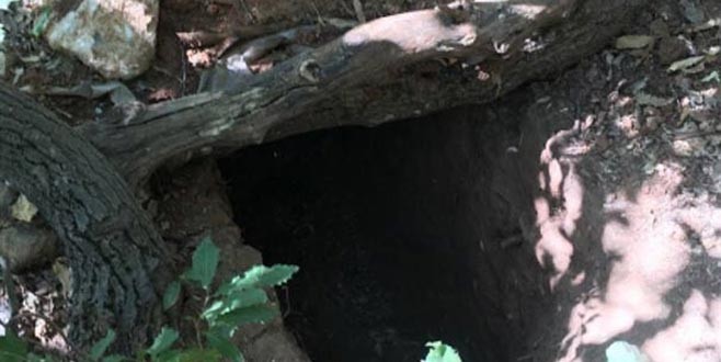 Diyarbakır’da PKK’lı teröristler böyle yakalandı