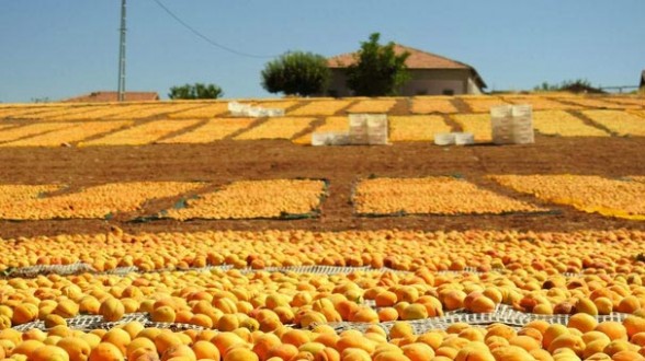 Malatya’dan tabloları aratmayacak görüntü