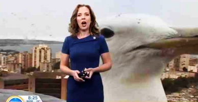 Kadın spikere dev martı şoku!