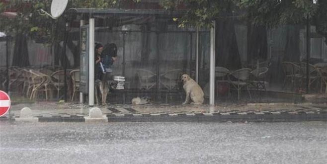 Bir uyarı da AKOM’dan geldi!