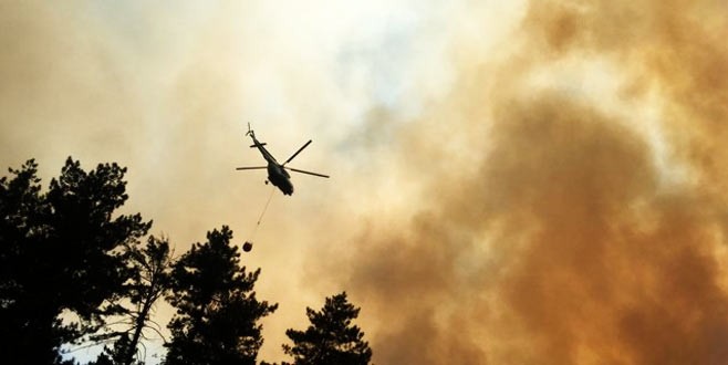 Bolu’da sarı çam ormanları yanıyor