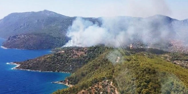 Milas’ta orman yangını çıktı
