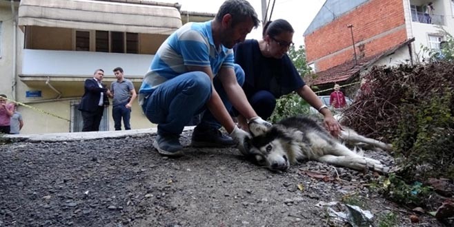 Sokağa çişini yapıyor diye kurşun yağdırdılar!