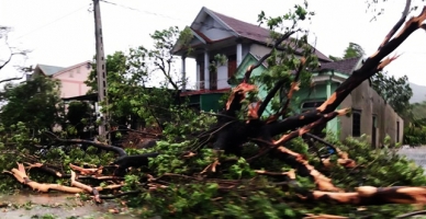 No 10 Vietnam’ı fena vurdu