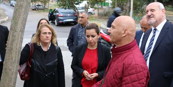 Alerjisi olan çocuklara özel kreş!