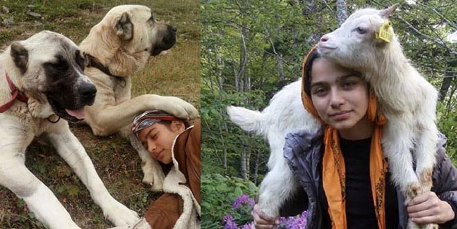 Erdoğan Hamdu Sena’yı Ankara’ya çağırdı!