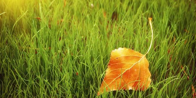 Pastırma sıcakları nedir?