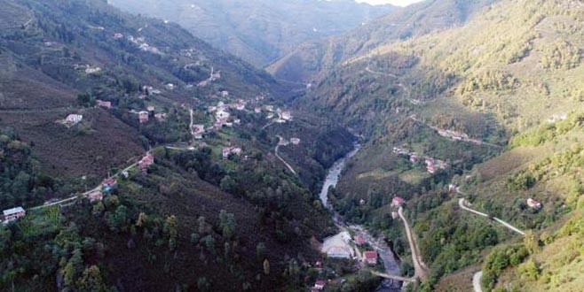 Yazlıklarda yiyecek bırakmayın uyarısı!