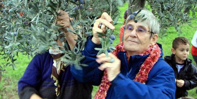 Canan Karatay’dan zeytinyağ önerisi