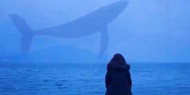 Çocuğunuz Mavi Balina oynuyorsa dikkat!