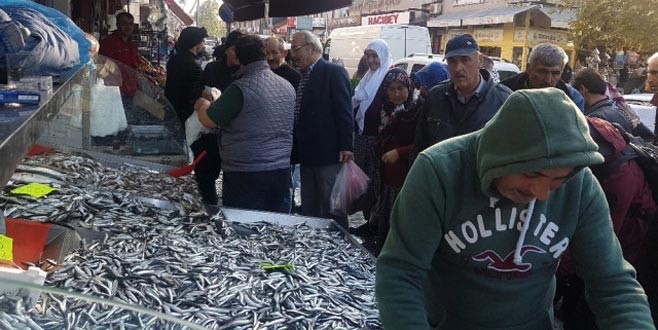 Hamsi fiyatları vatandaşın yüzünü güldürdü!