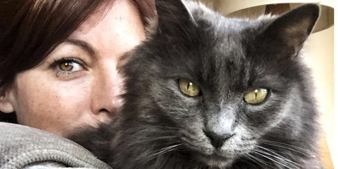 İdil Fırat: Sokaktaki hayvanın yeri sokaklardır