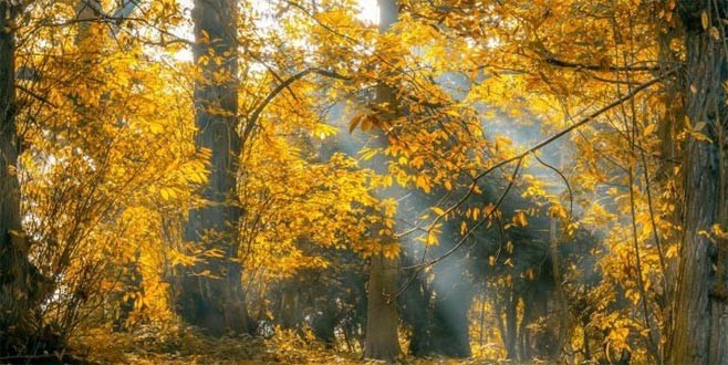 İstanbul’a pastırma yazı geliyor!