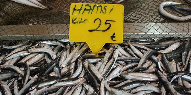 Balıklar neden pahalı? İşte nedeni