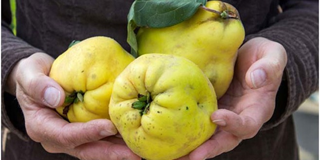 Her derde deva şimdi cilt lekeleri korksun!