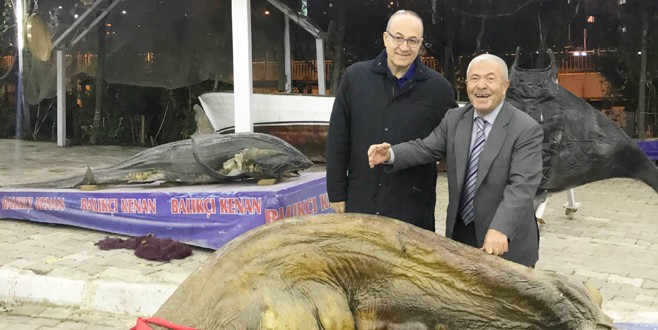 Haldun Domaç: Bu müzenin Avrupa’da benzeri yok