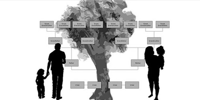 Soyağacı sorgulama hizmeti askıya alındı!