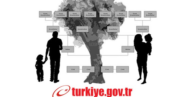 Soyağacı sorgulama sayfası açıldı!