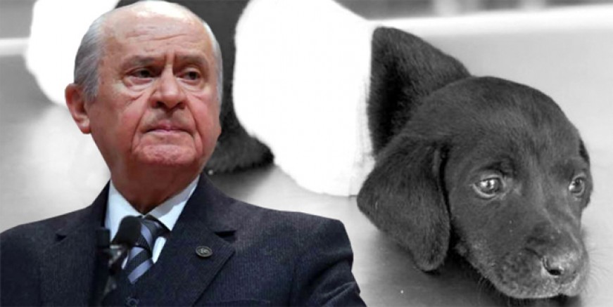 Devlet Bahçeli o son bakışı unutamıyor