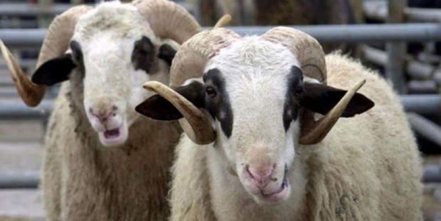 İSKİ’den kurban atığı uyarısı