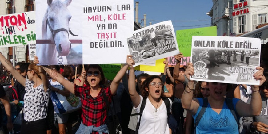 Büyükada’da fayton protestosu!