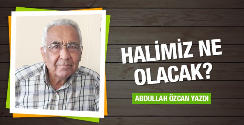 Abdullah Özcan yazdı; Halimiz ne olacak?