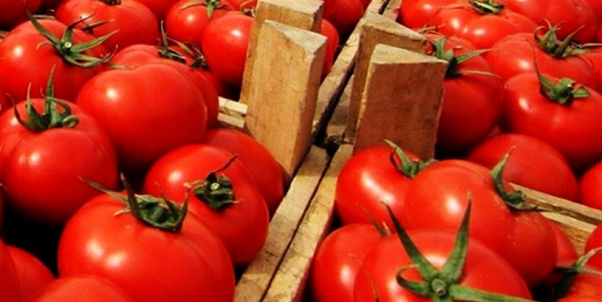 Eylül’de zam şampiyonu Domates!
