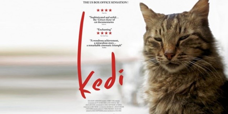 Mama getirene bu film ücretsiz