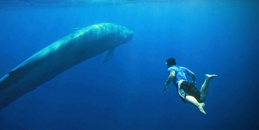 Mavi Balina oyunu için hangi önlemler alınıyor?