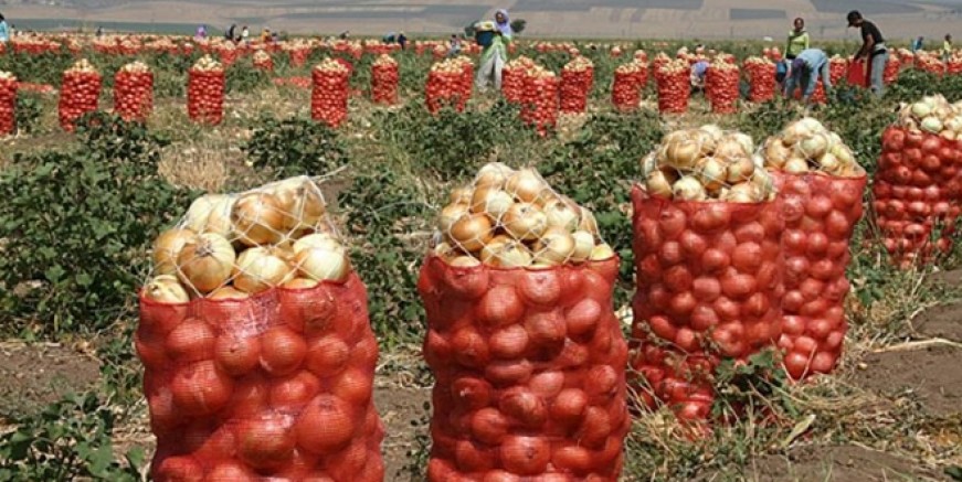 Tarlada 17 markette 30 TL!