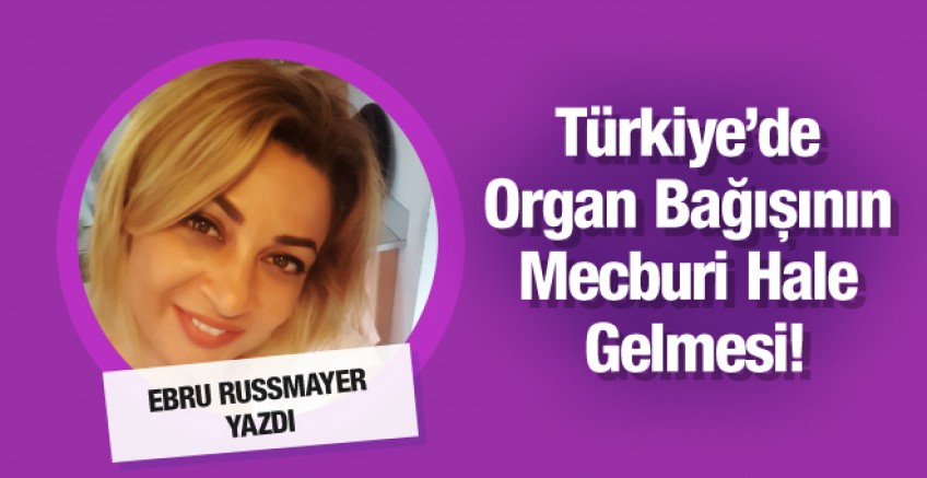 Ebru Russmayer yazdı; Organ bağışı mecburi olmalı mı?