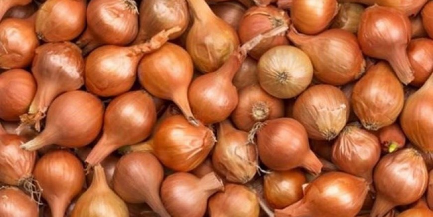 İstanbul’da zam şampiyonu soğan oldu