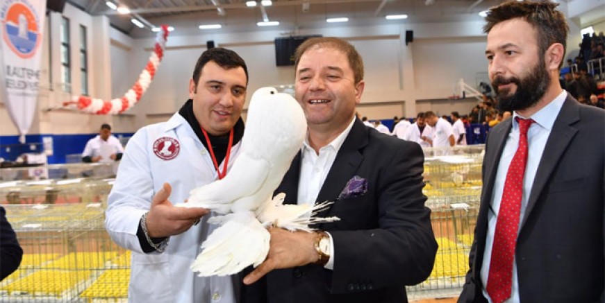 Türkiye’nin güvercinleri Maltepe’de görücüye çıktı