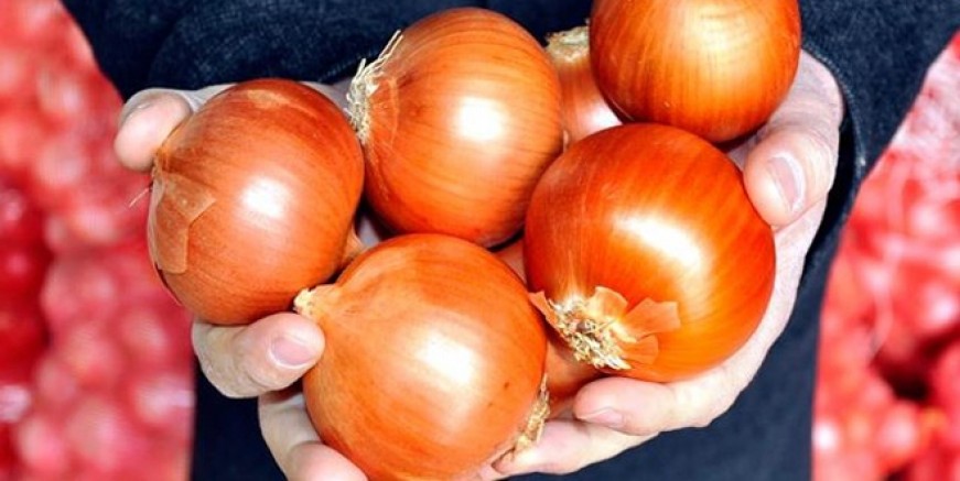 Kuru soğana ithalat yolu açıldı