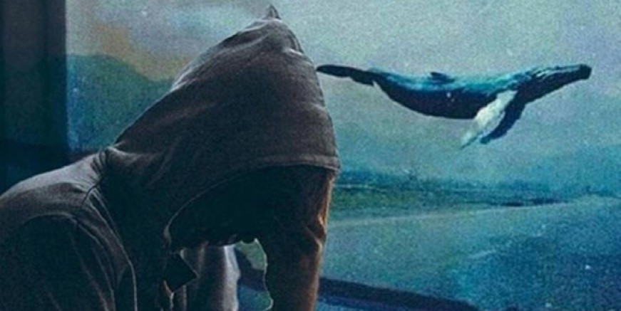 5 bakanlık Mavi Balina’ya karşı harekete geçiyor