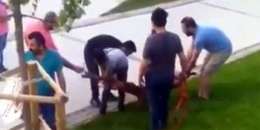 İstanbul’da pitbull dehşeti