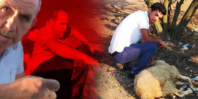 Hasan Sel ve Hüseyin Sel tahliye oldu