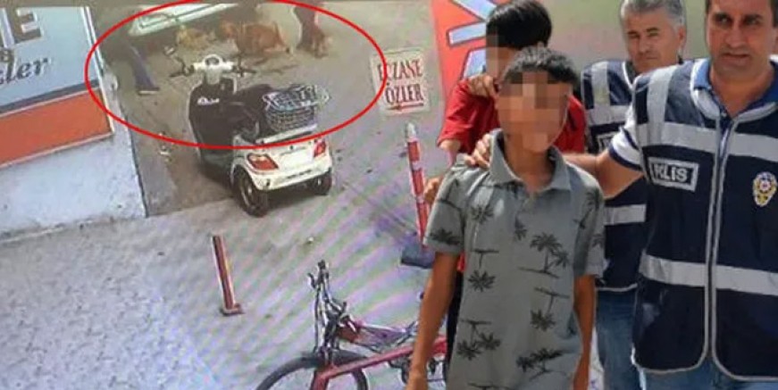 Kediyi ‘Pitbull’a parçalatan çocuktan şok sözler!
