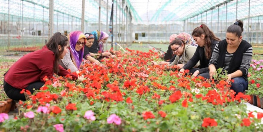 Muğla Belediyesi üreticinin yüzünü güldürdü